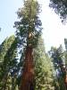 127 - 20210716 Kings Canyon Alta To Silliman