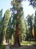 129 - 20210716 Kings Canyon Alta To Silliman