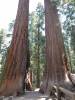 132 - 20210716 Kings Canyon Alta To Silliman