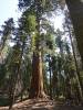 133 - 20210716 Kings Canyon Alta To Silliman