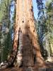 135 - 20210716 Kings Canyon Alta To Silliman