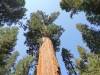 137 - 20210716 Kings Canyon Alta To Silliman