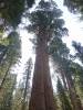 138 - 20210716 Kings Canyon Alta To Silliman