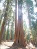139 - 20210716 Kings Canyon Alta To Silliman