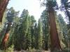 140 - 20210716 Kings Canyon Alta To Silliman