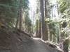 144 - 20210716 Kings Canyon Alta To Silliman