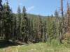 146 - 20210716 Kings Canyon Alta To Silliman