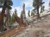 474 - 20210716 Kings Canyon Alta To Silliman