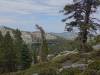478 - 20210716 Kings Canyon Alta To Silliman