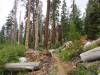 489 - 20210716 Kings Canyon Alta To Silliman