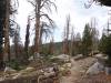 491 - 20210716 Kings Canyon Alta To Silliman
