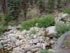 500 - 20210716 Kings Canyon Alta To Silliman