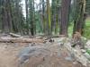 501 - 20210716 Kings Canyon Alta To Silliman