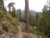 504 - 20210716 Kings Canyon Alta To Silliman