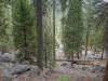 505 - 20210716 Kings Canyon Alta To Silliman