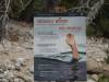 509 - 20210716 Kings Canyon Alta To Silliman