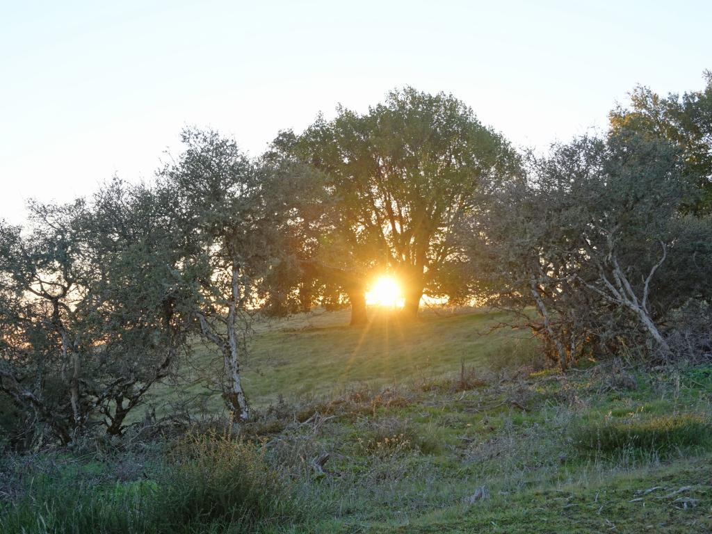 105 - 20220126 Black Mountain Sunset