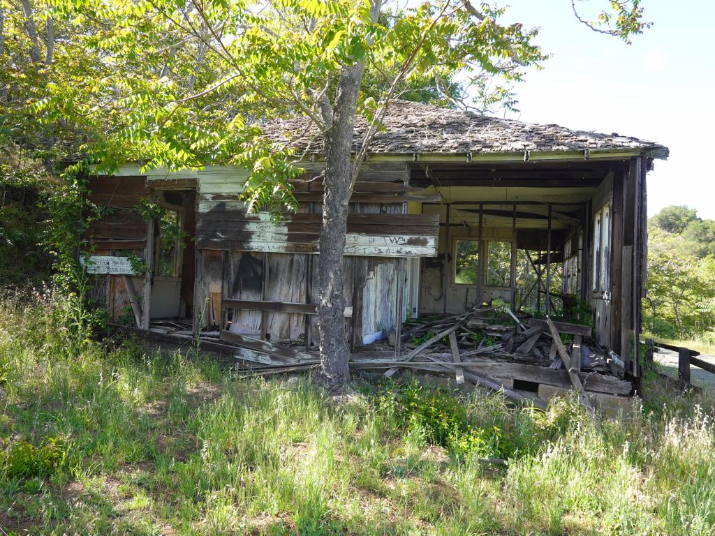 319 - 20220506 Quicksilver County Park