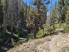 1028 - 20230913 Agnew Meadows to Duck Lake Pass Day1 Google