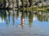 2046 - 20230914 Agnew Meadows to Duck Lake Pass Day2 Google
