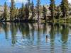 2049 - 20230914 Agnew Meadows to Duck Lake Pass Day2 Google