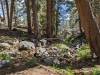 2116 - 20230914 Agnew Meadows to Duck Lake Pass Day2 Google