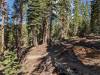 3015 - 20230915 Agnew Meadows to Duck Lake Pass Day3 Google