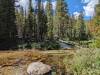 3019 - 20230915 Agnew Meadows to Duck Lake Pass Day3 Google