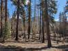 3027 - 20230915 Agnew Meadows to Duck Lake Pass Day3 Google