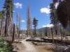 3029 - 20230915 Agnew Meadows to Duck Lake Pass Day3 SONY