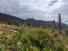 3127 - 20230915 Agnew Meadows to Duck Lake Pass Day3 Google