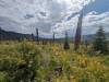 3128 - 20230915 Agnew Meadows to Duck Lake Pass Day3 Google
