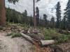 3129 - 20230915 Agnew Meadows to Duck Lake Pass Day3 Google