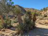 124 - 20231121 Arrowhead Deep Creek Hot Springs Google