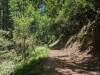101 - 20240604 El Corte De Madera Creek Google
