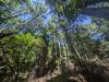 107 - 20240604 El Corte De Madera Creek Google