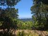 114 - 20240604 El Corte De Madera Creek Google