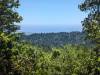 115 - 20240604 El Corte De Madera Creek Google