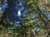 118 - 20240604 El Corte De Madera Creek Google