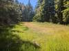 123 - 20240604 El Corte De Madera Creek Google