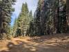 104 - 20241022 Tahoe Carr Lake Grouse Ridge Google