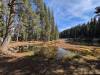 124 - 20241022 Tahoe Carr Lake Grouse Ridge Google