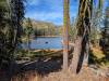126 - 20241022 Tahoe Carr Lake Grouse Ridge Google