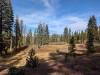 130 - 20241022 Tahoe Carr Lake Grouse Ridge Google