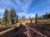 131 - 20241022 Tahoe Carr Lake Grouse Ridge Google