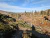 136 - 20241022 Tahoe Carr Lake Grouse Ridge Google