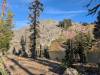 137 - 20241022 Tahoe Carr Lake Grouse Ridge Google