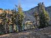 138 - 20241022 Tahoe Carr Lake Grouse Ridge Google