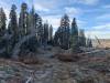 143 - 20241022 Tahoe Carr Lake Grouse Ridge Google