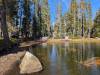 224 - 20241022 Tahoe Carr Lake Grouse Ridge Google